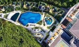 广州网红最新事件爆料新闻,揭秘幕后真相，风波再起！